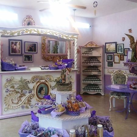 Hotel Vida En Rosas Bernal Εξωτερικό φωτογραφία